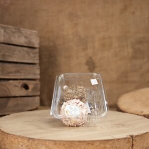 CHEVRE FRAIS AROMATISE X2