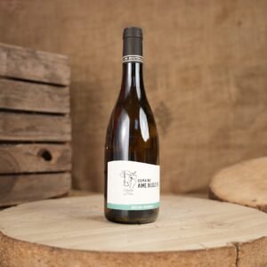 DOMAINE AIME BLOUZARD