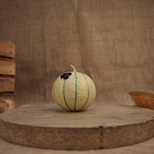 MELON