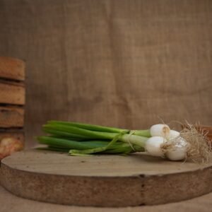 OIGNONS BLANCS FRAIS BOTTE