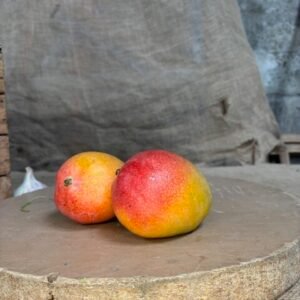 MANGUE