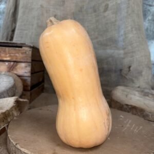 BUTTERNUT
