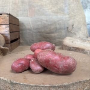 POMME DE TERRE ROUGE CHERIE