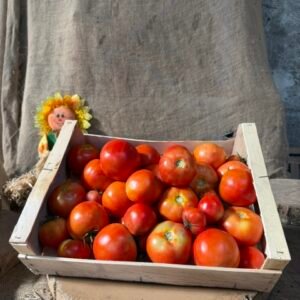 CAGETTE DE TOMATE 5 kg