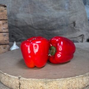 POIVRON ROUGE
