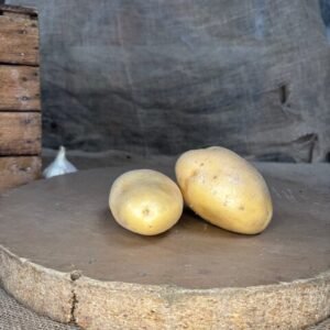 POMME DE TERRE AGATHA LAVEE