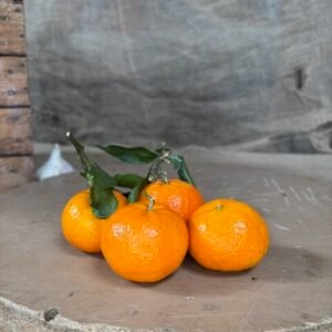 CLEMENTINES PORTUGAISES
