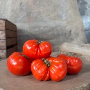TOMATE SPECIALE
