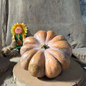 COURGE