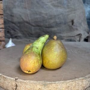 POIRE CATEGORIE 2
