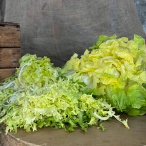 SALADE SCAROLE/FRISÉE
