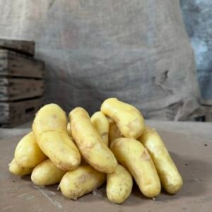 POMME DE TERRE NOUVELLE