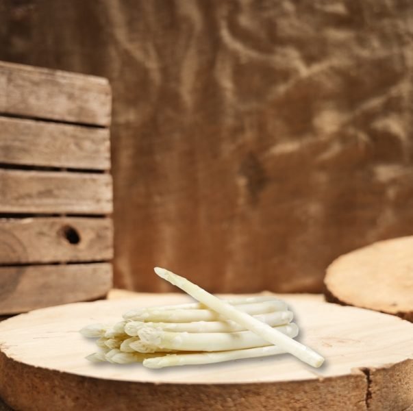 Design sans titre - 1