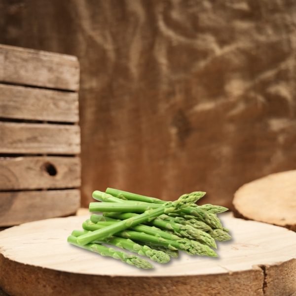 Design sans titre - 1