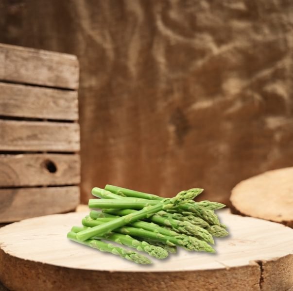 Design sans titre - 1