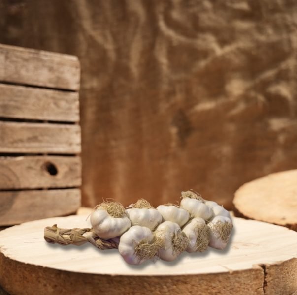 Design sans titre - 1