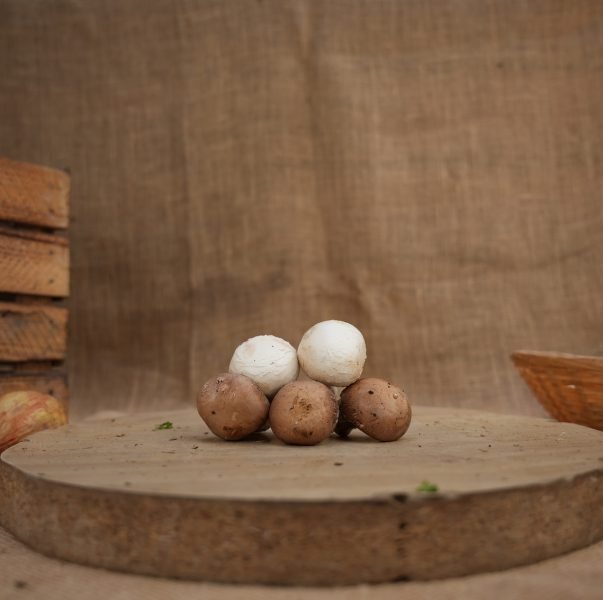 CHAMPIGNONS BRUN_BLANC