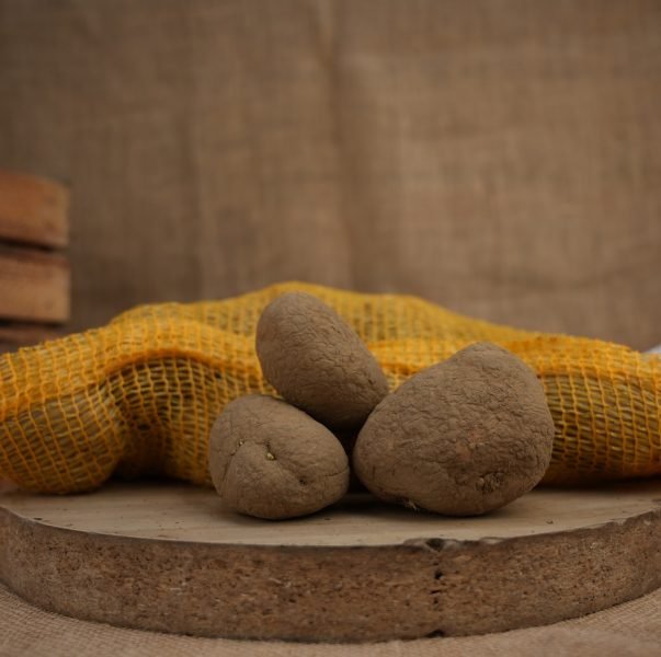 SAC POMME DE TERRE 10KG